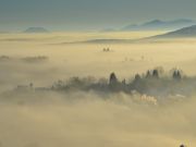 Zima_Rakovica_2025-04